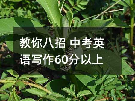 教你八招 中考英語寫作60分以上