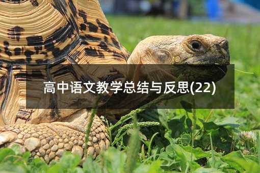 ZĽ̌W(xu)Y(ji)c˼(22)