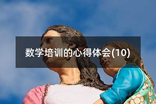 數學培訓的心得體會(10)