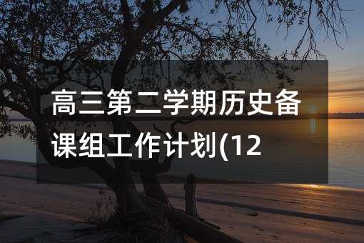 高三第二學(xué)期歷史備課組工作計(jì)劃(12)