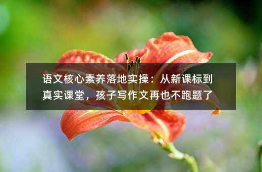 語(yǔ)文核心素養(yǎng)落地實(shí)操:從新課標(biāo)到真實(shí)課堂,孩子寫(xiě)作文再也不跑題了