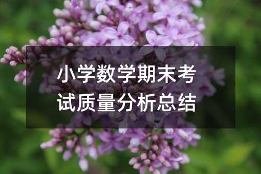小學數學期末考試質量分析總結