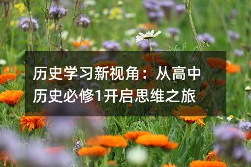 歷史學習新視角:從高中歷史必修1開啟思維之旅