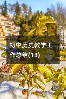 初中歷史教學工作總結(13)