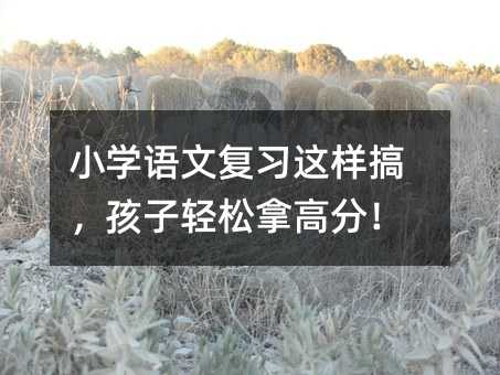 小學語文復習這樣搞,孩子輕松拿高分!