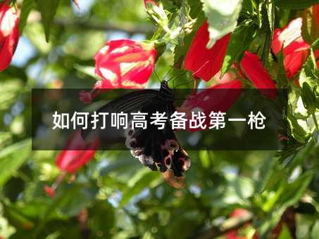 如何打響高考備戰第一槍