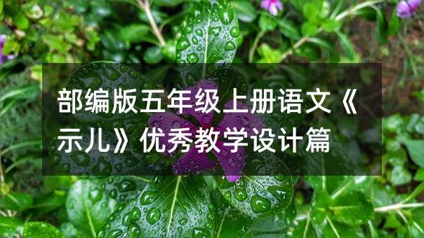 ���������꼉�σ��Z�ġ�ʾ��������̌W�OӋƪ