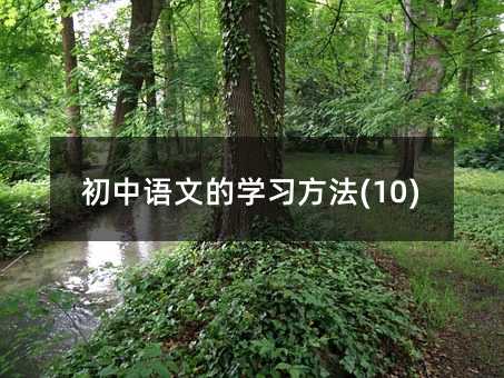 初中語文的學習方法(10)