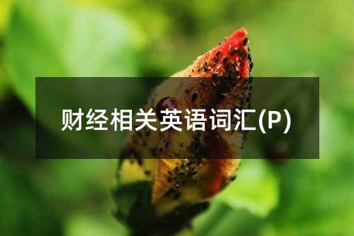 財經(jīng)相關(guān)英語詞匯(P)