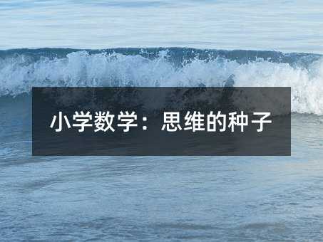 小學數學:思維的種子