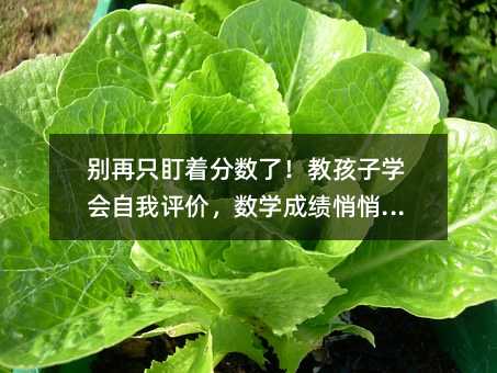 別再只盯著分?jǐn)?shù)了!教孩子學(xué)會(huì)自我評(píng)價(jià),數(shù)學(xué)成績(jī)悄悄逆襲