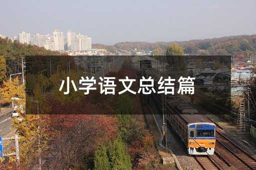 小學語文總結篇