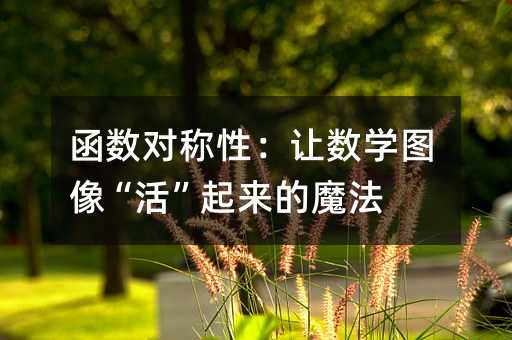 函數對稱性:讓數學圖像“活”起來的魔法