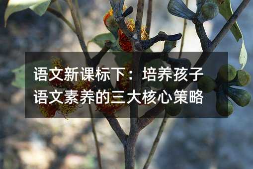語文新課標下:培養孩子語文素養的三大核心策略