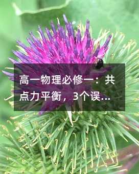 ��һ��������һ�����c(di��n)��ƽ�⣬3��(g��)�`�^(q��)׌��ʧ�֣��@�ӌW(xu��)�붮