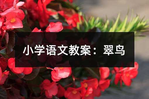 小學語文教案:翠鳥