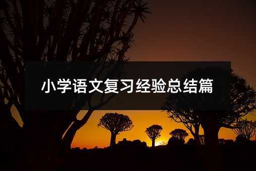 小學(xué)語文復(fù)習(xí)經(jīng)驗(yàn)總結(jié)篇