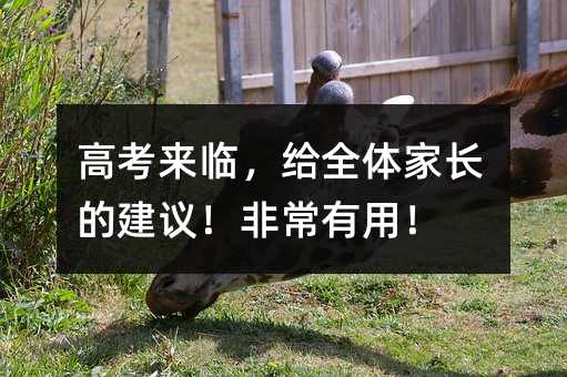 �߿����R���oȫ�w���L�Ľ��h���ǳ�������