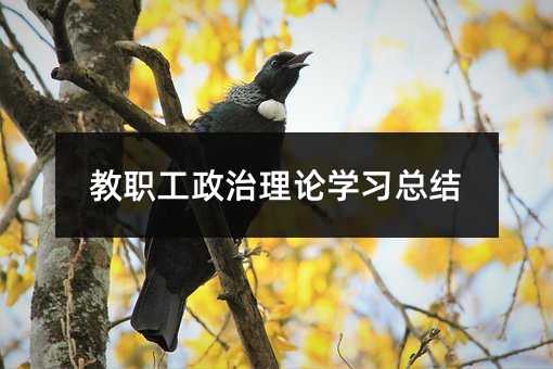 教職工政治理論學(xué)習(xí)總結(jié)