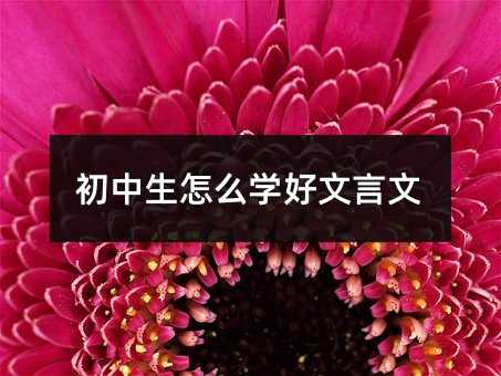 ��������ô�W��������