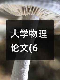 大學物理論文(6)