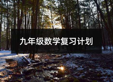 九年級數學復習計劃