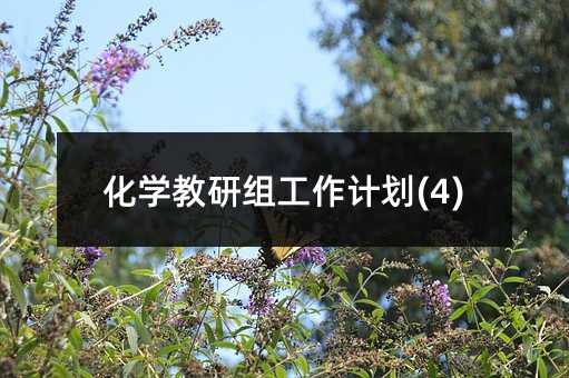 化學教研組工作計劃(4)