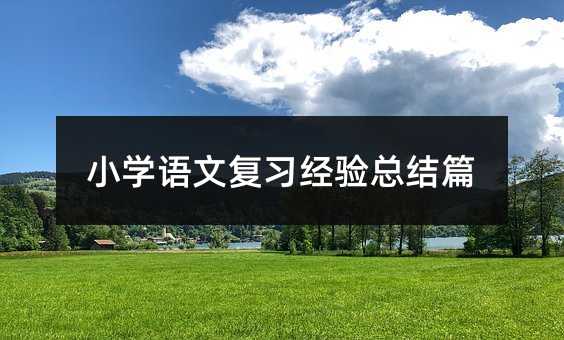 小學(xué)語(yǔ)文復(fù)習(xí)經(jīng)驗(yàn)總結(jié)篇