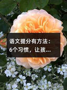 語文提分有方法:6個習慣,讓孩子從“怕語文”到“愛語文”