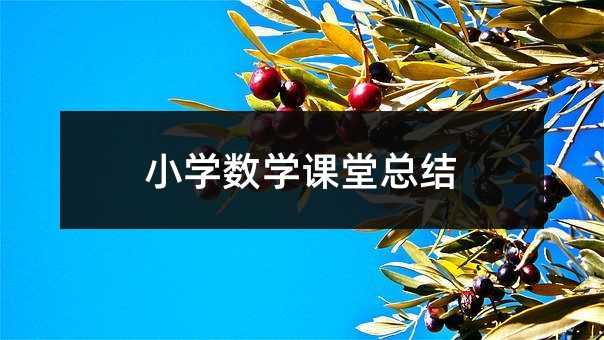 小學數學課堂總結