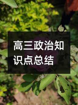 高三政治知識點總結(jié)
