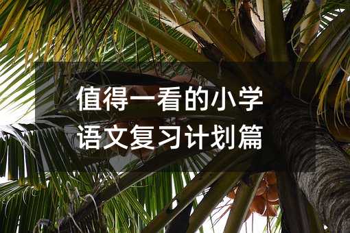 值得一看的小學語文復習計劃篇
