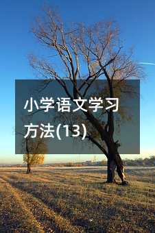 小學(xué)語文學(xué)習(xí)方法(13)