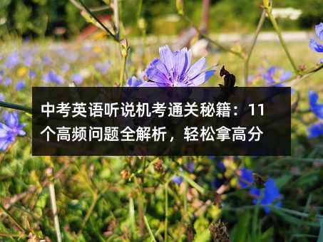 �п�Ӣ�Z �f�C��ͨ�P�ؼ���11�����l���}ȫ�������p���ø߷�