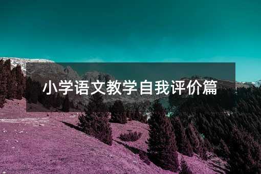 小學語文教學自我評價篇