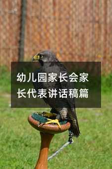 幼兒園家長會家長代表講話稿篇