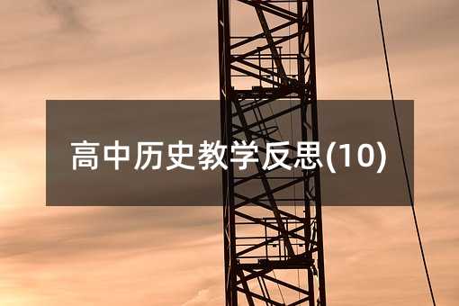 高中歷史教學反思(10)