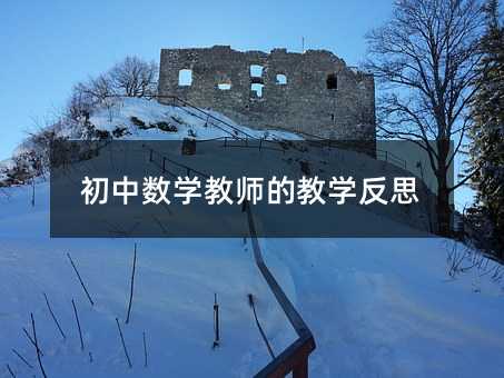 初中數(shù)學(xué)教師的教學(xué)反思