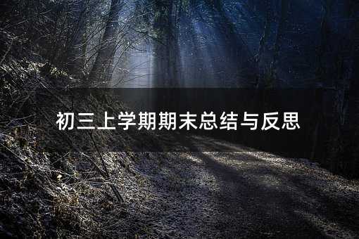 初三上學期期末總結與反思