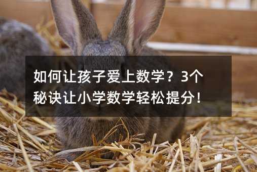 如何讓孩子愛上數學?3個秘訣讓小學數學輕松提分!