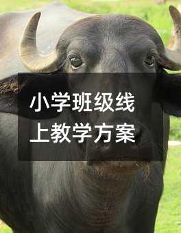 С�W�༉���Ͻ̌W����