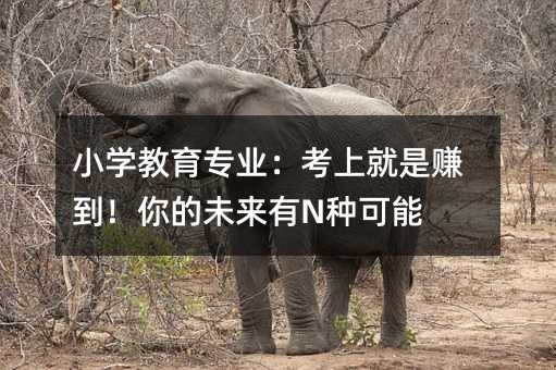 小學教育專業:考上就是賺到!你的未來有N種可能