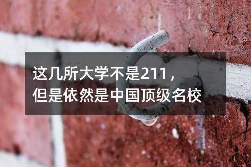 這幾所大學不是211,但是依然是中國頂級名校!