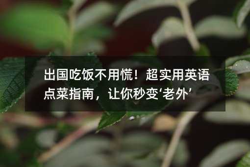 ��������ûţ�������Ӣ�Z�c��ָ�ϣ�׌����׃�����⡯