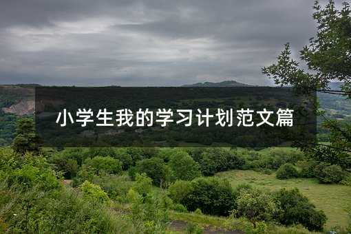 С�W(xu��)���ҵČW(xu��)��(x��)Ӌ(j��)������ƪ