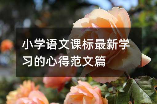小學(xué)語(yǔ)文課標(biāo)最新學(xué)習(xí)的心得范文篇