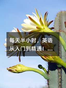 每天半小時,英語從入門到精通!我的親測逆襲計劃,真實有效不雞湯