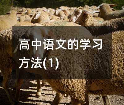 高中語(yǔ)文的學(xué)習(xí)方法(1)