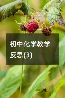 初中化學(xué)教學(xué)反思(3)