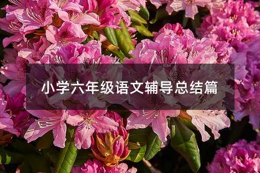 小學六年級語文輔導總結篇
